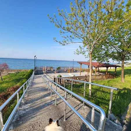 комплекс конти *