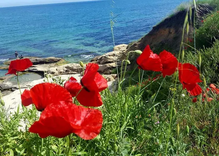 комплекс конти Ravda