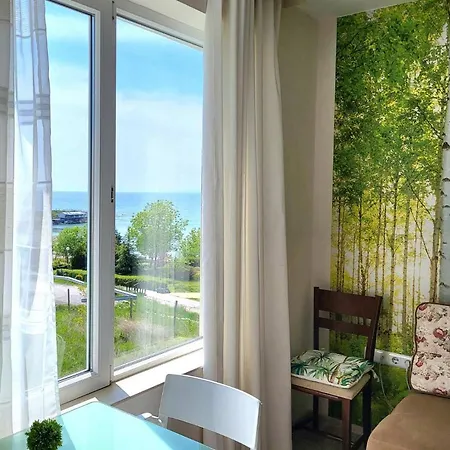 комплекс конти